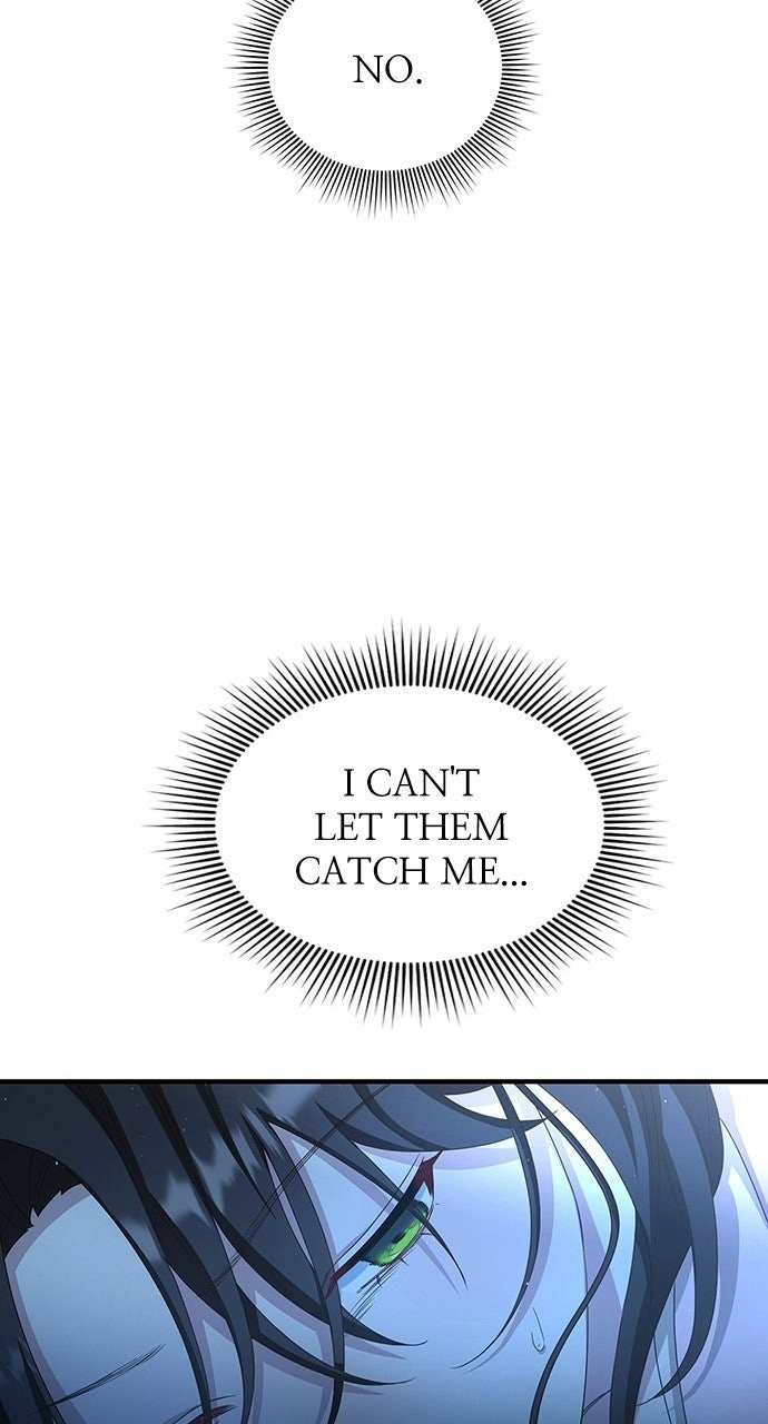 The Circumstances of the Lying Empress Chapter 41 page 84 - 