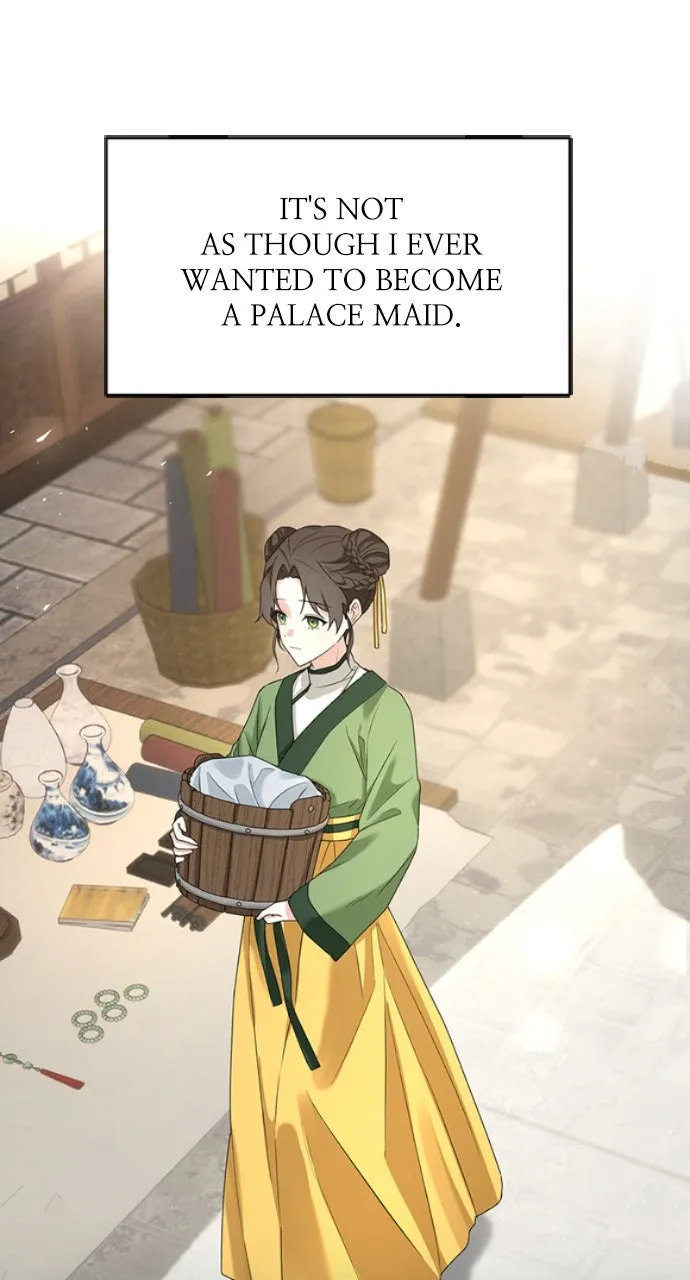 The Circumstances of the Lying Empress Chapter 1 page 41 - 