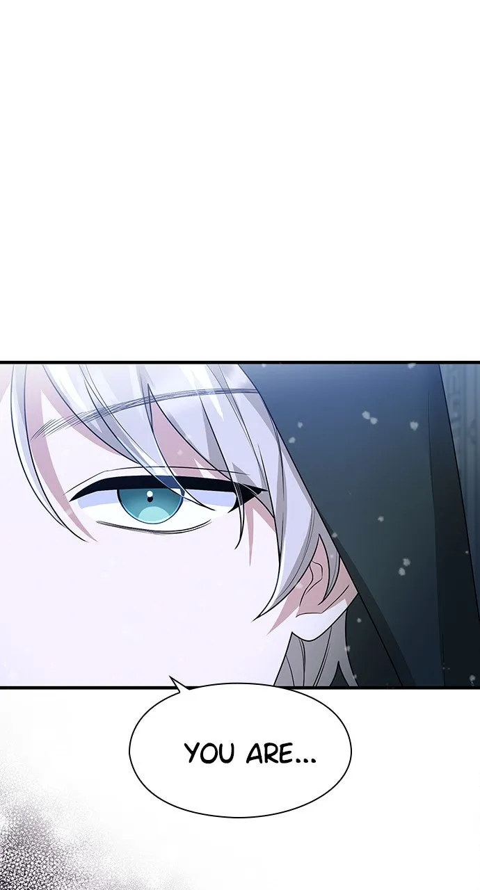 The Circumstances of the Lying Empress Chapter 25 page 47 - 