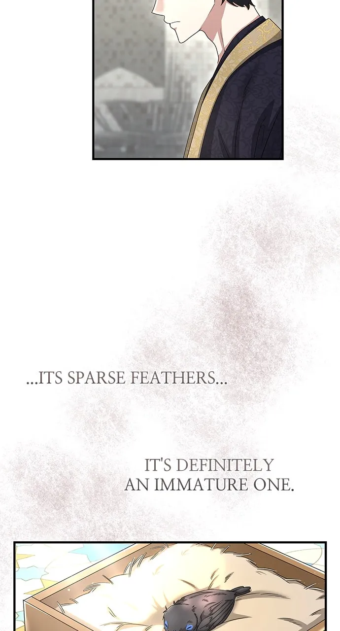 The Circumstances of the Lying Empress Chapter 27 page 27 - 