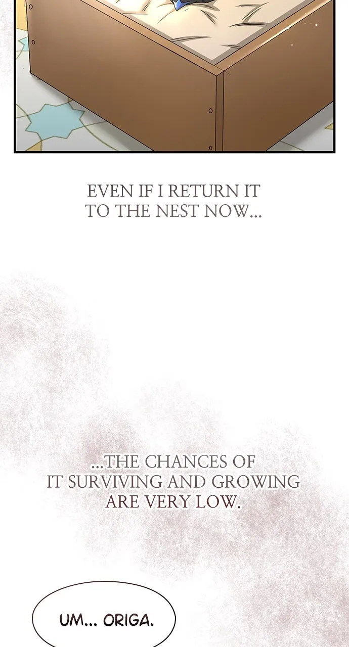 The Circumstances of the Lying Empress Chapter 27 page 28 - 