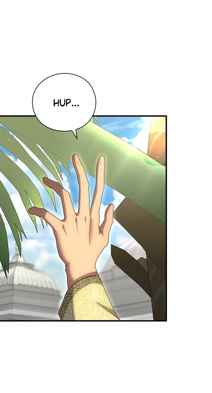 The Circumstances of the Lying Empress Chapter 27 page 43 - 