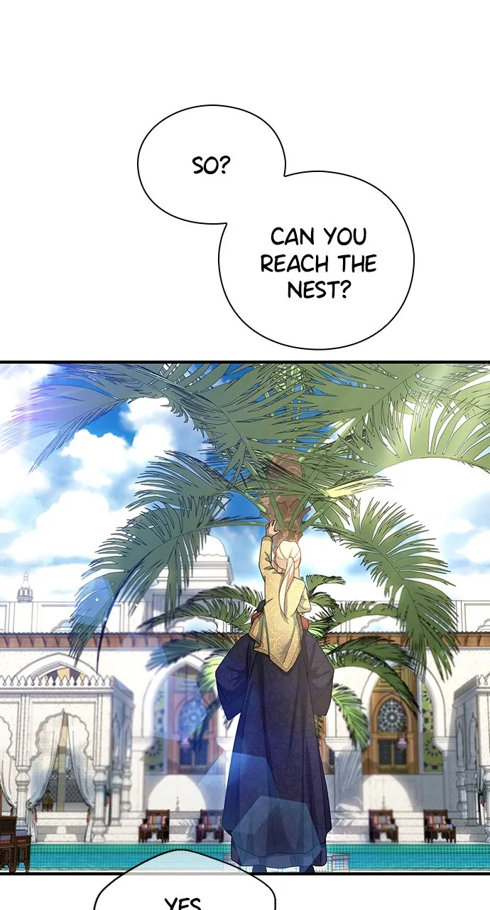 The Circumstances of the Lying Empress Chapter 27 page 44 - 
