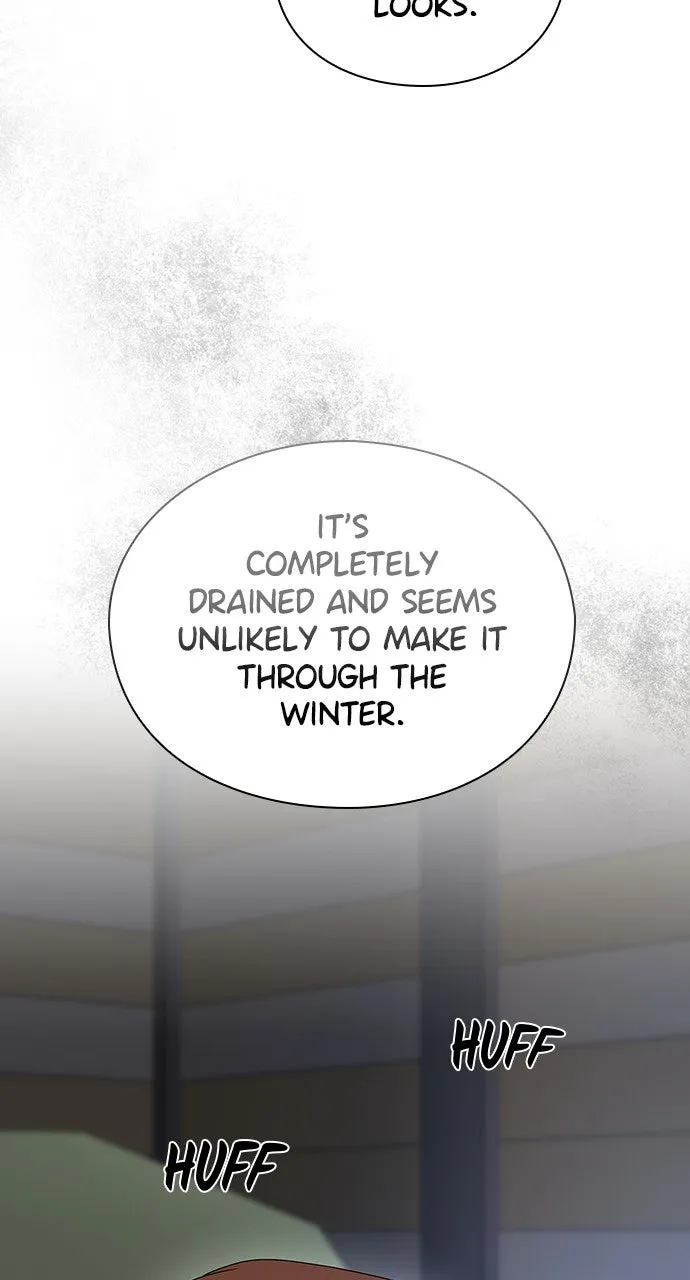 The Circumstances of the Lying Empress Chapter 31 page 81 - 