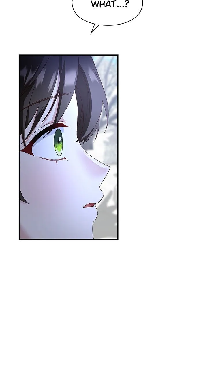 The Circumstances of the Lying Empress Chapter 32 page 65 - 