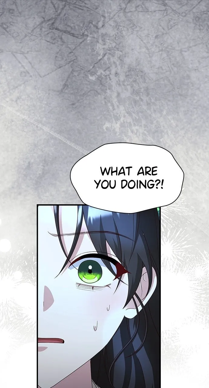 The Circumstances of the Lying Empress Chapter 41 page 71 - 