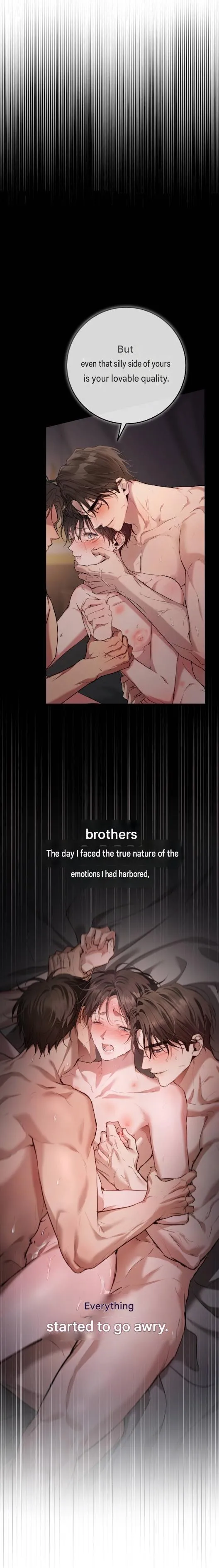 The Circumstances of Those Noble Brothers Chapter 0 page 17 - 