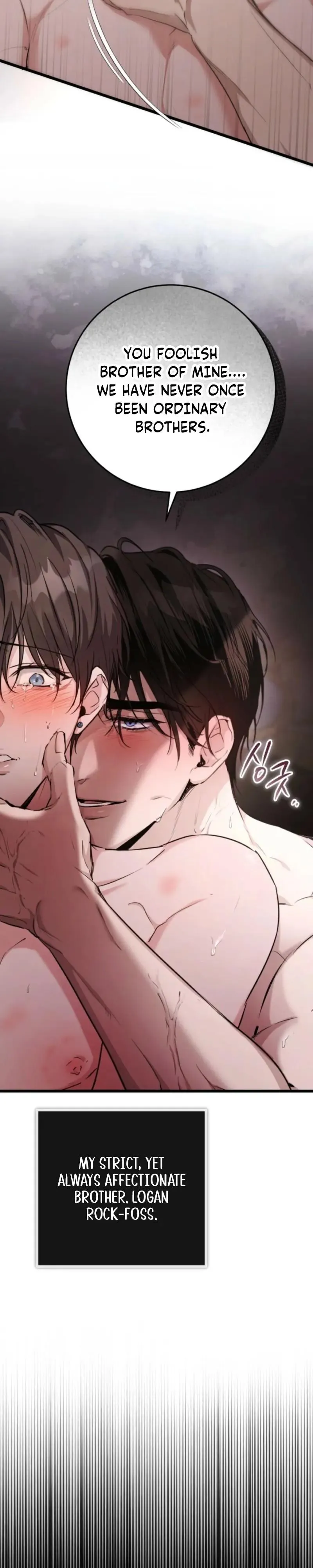 The Circumstances of Those Noble Brothers Chapter 1 page 11 - 