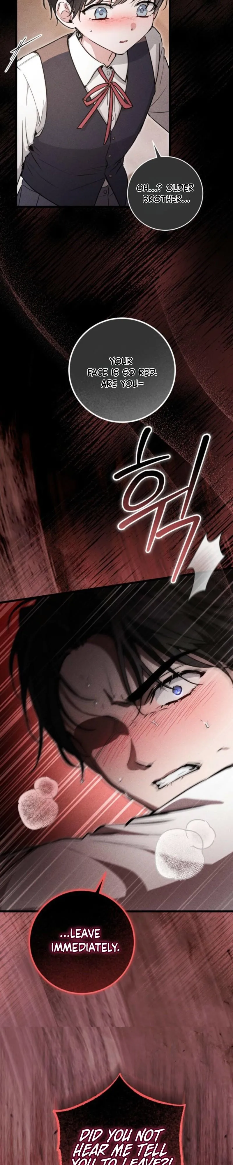 The Circumstances of Those Noble Brothers Chapter 2 page 16 - 
