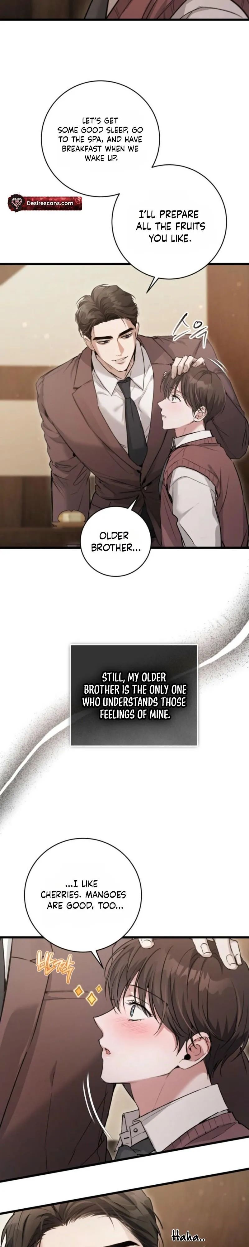 The Circumstances of Those Noble Brothers Chapter 2 page 19 - 