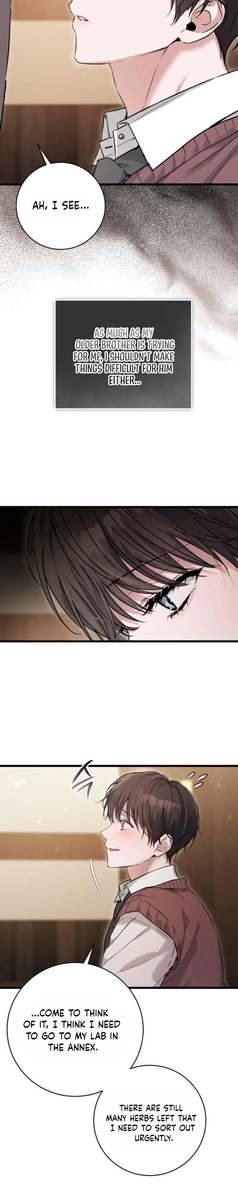 The Circumstances of Those Noble Brothers Chapter 2 page 21 - 