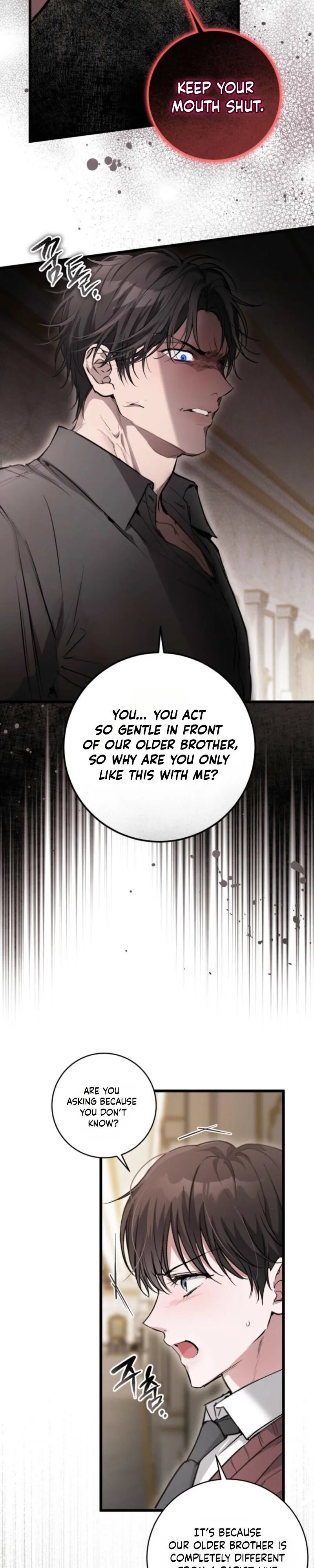 The Circumstances of Those Noble Brothers Chapter 2 page 30 - 