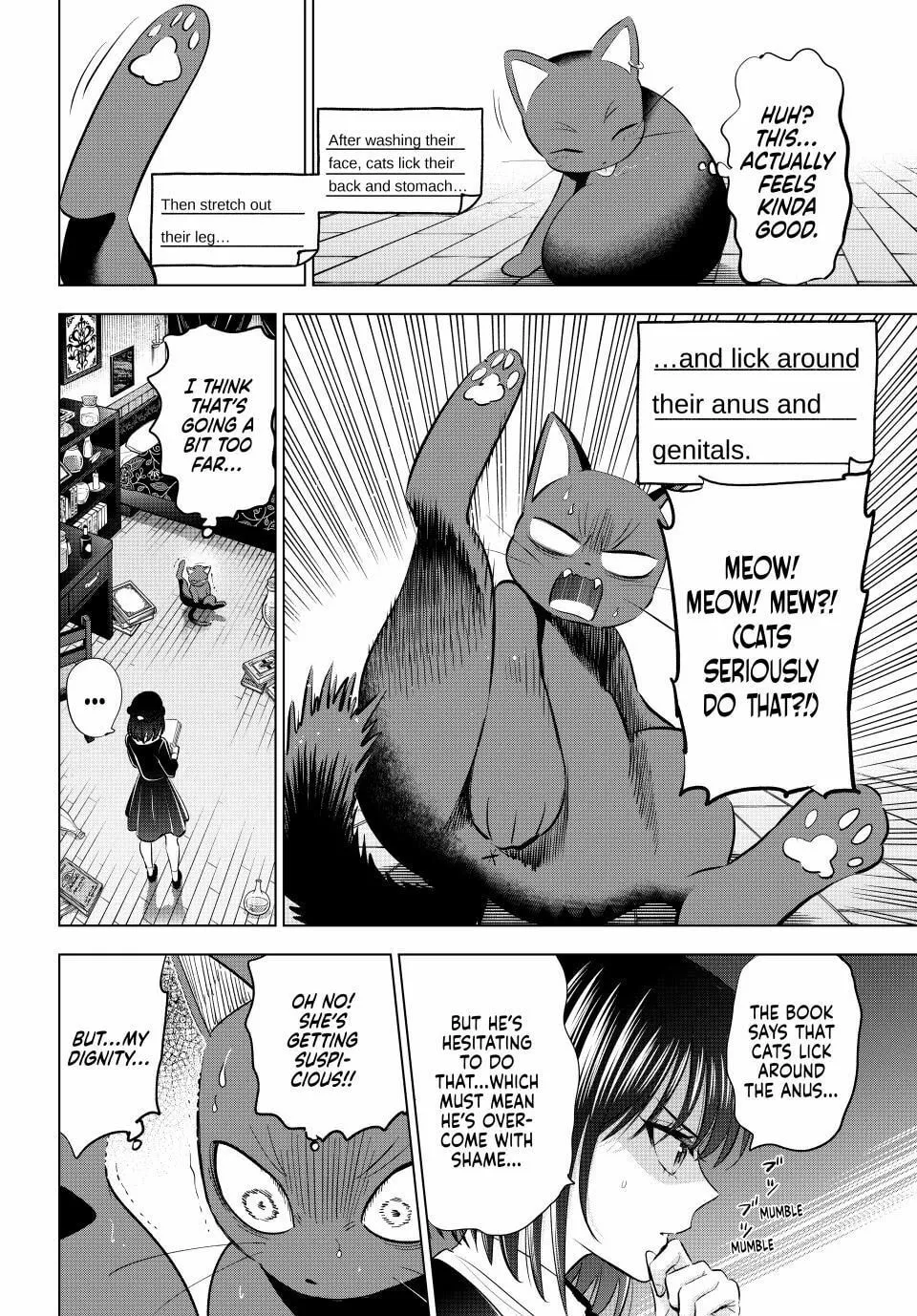 The Classroom of a Black Cat and a Witch Chapter 61 page 16 - 