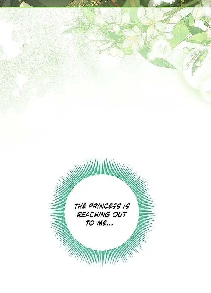 The Closet Fan Princess Chapter 17 page 25 - 