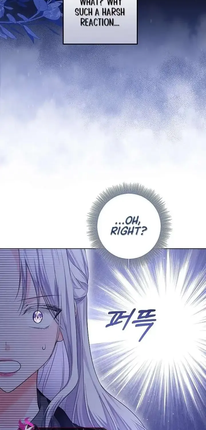The Closet Fan Princess Chapter 23 page 31 - 