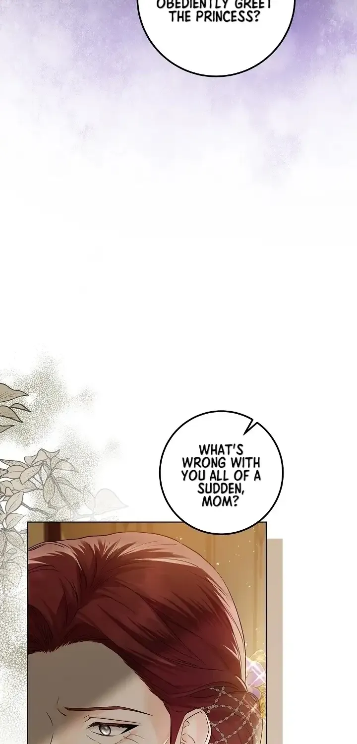 The Closet Fan Princess Chapter 24 page 13 - 