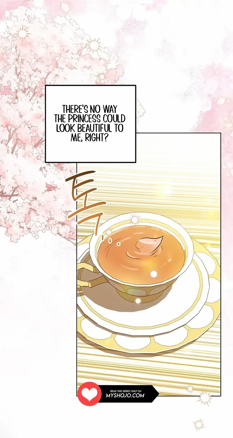 The Closet Fan Princess Chapter 35 page 45 - 