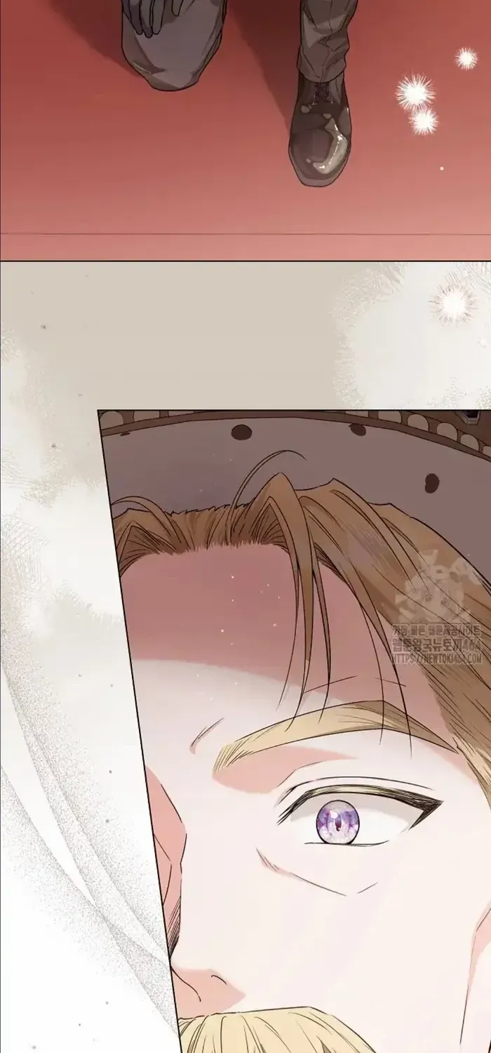 The Closet Fan Princess Chapter 40 page 9 - 