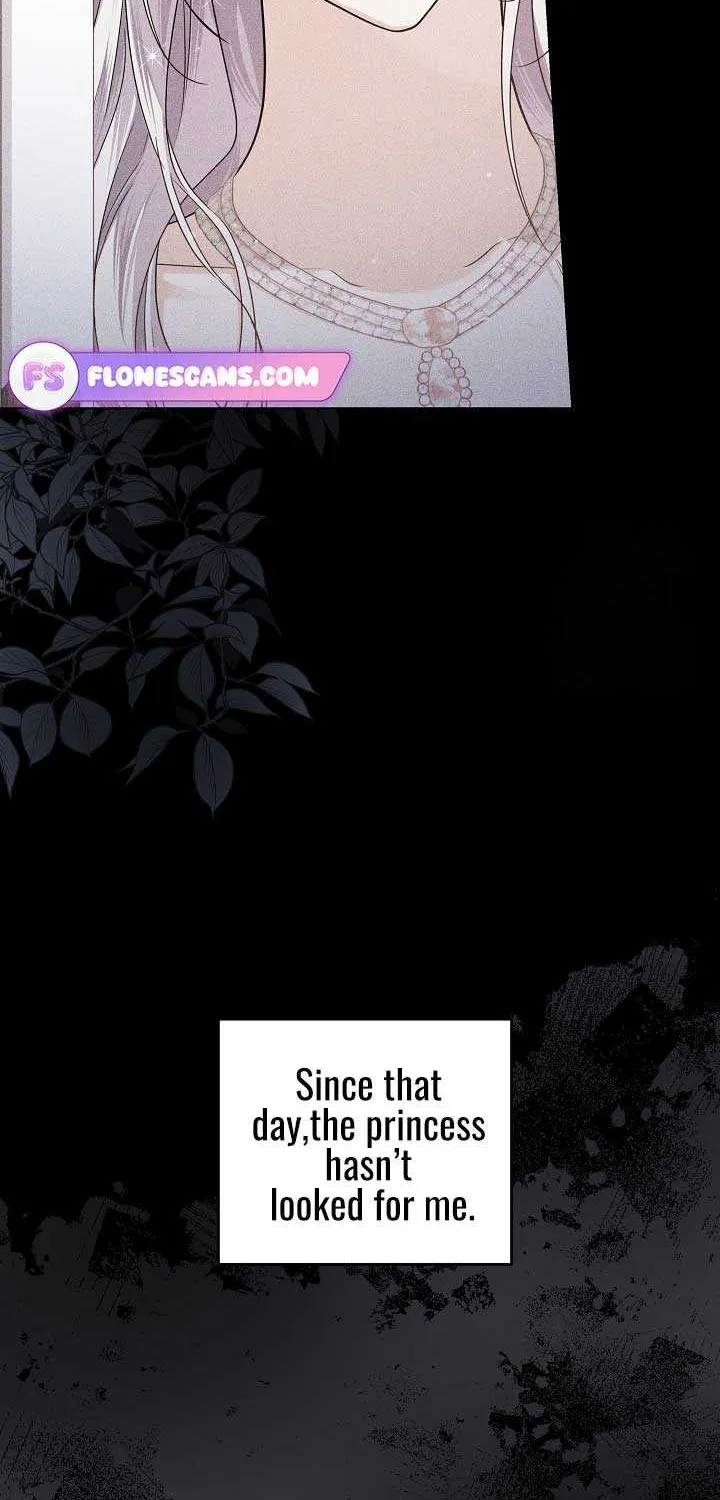 The Closet Fan Princess Chapter 45 page 33 - 