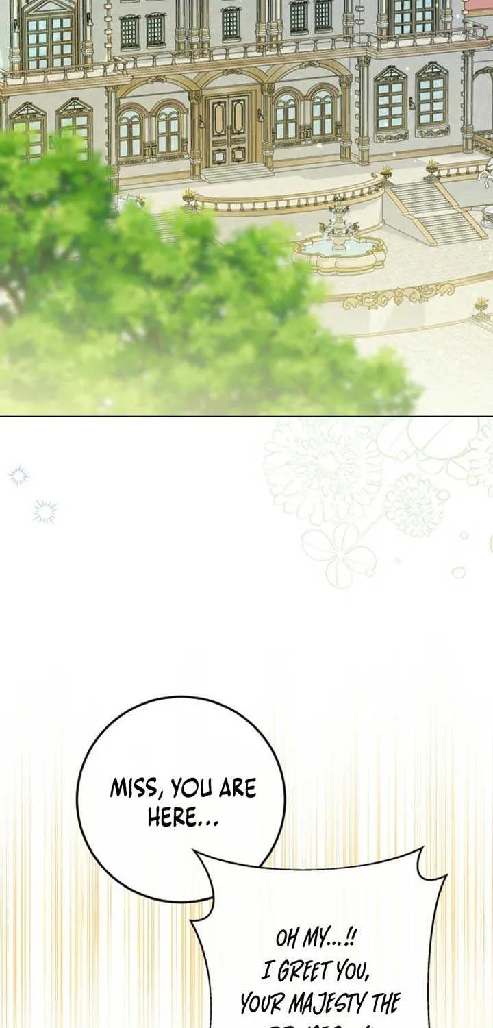 The Closet Fan Princess Chapter 62 page 46 - 