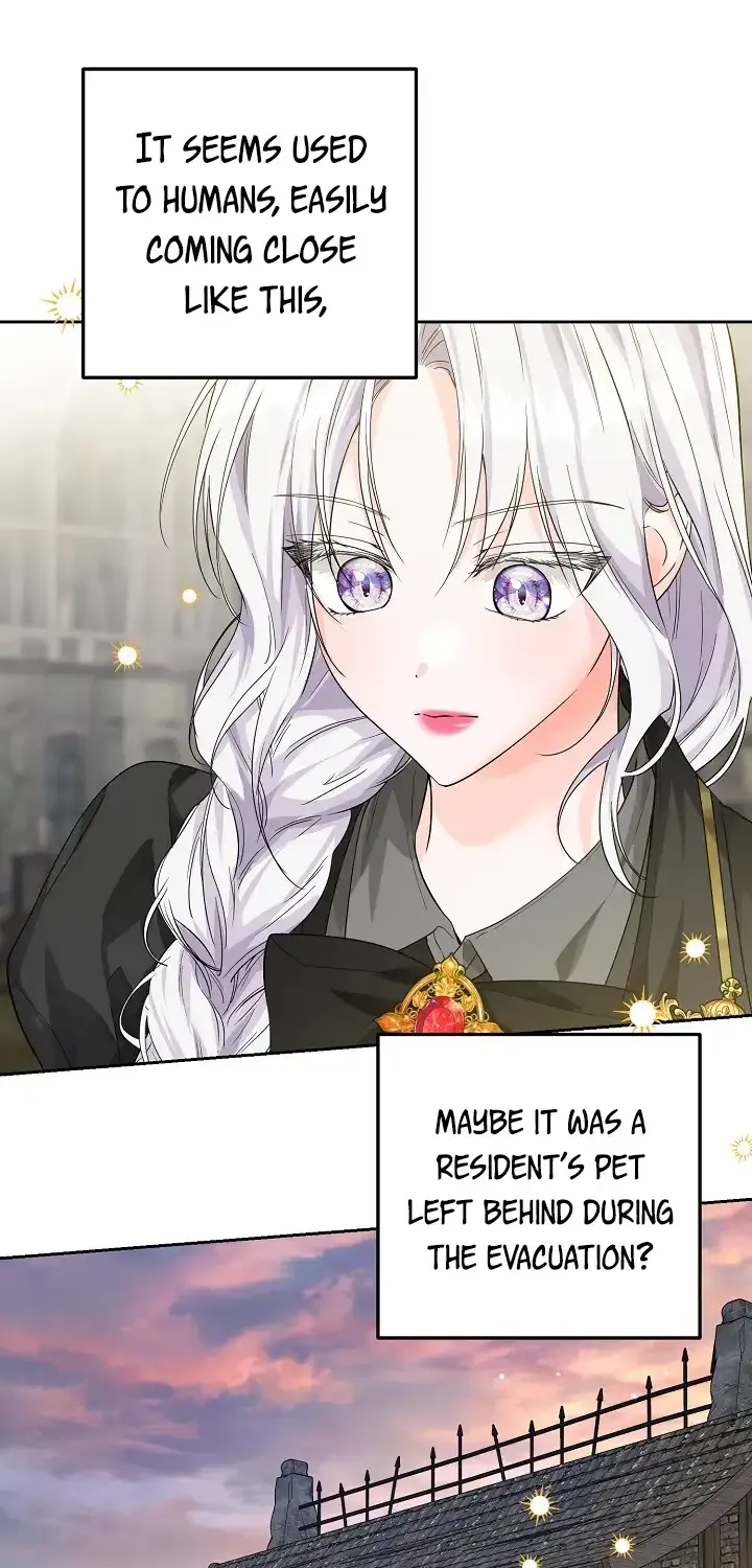 The Closet Fan Princess Chapter 7 page 42 - 
