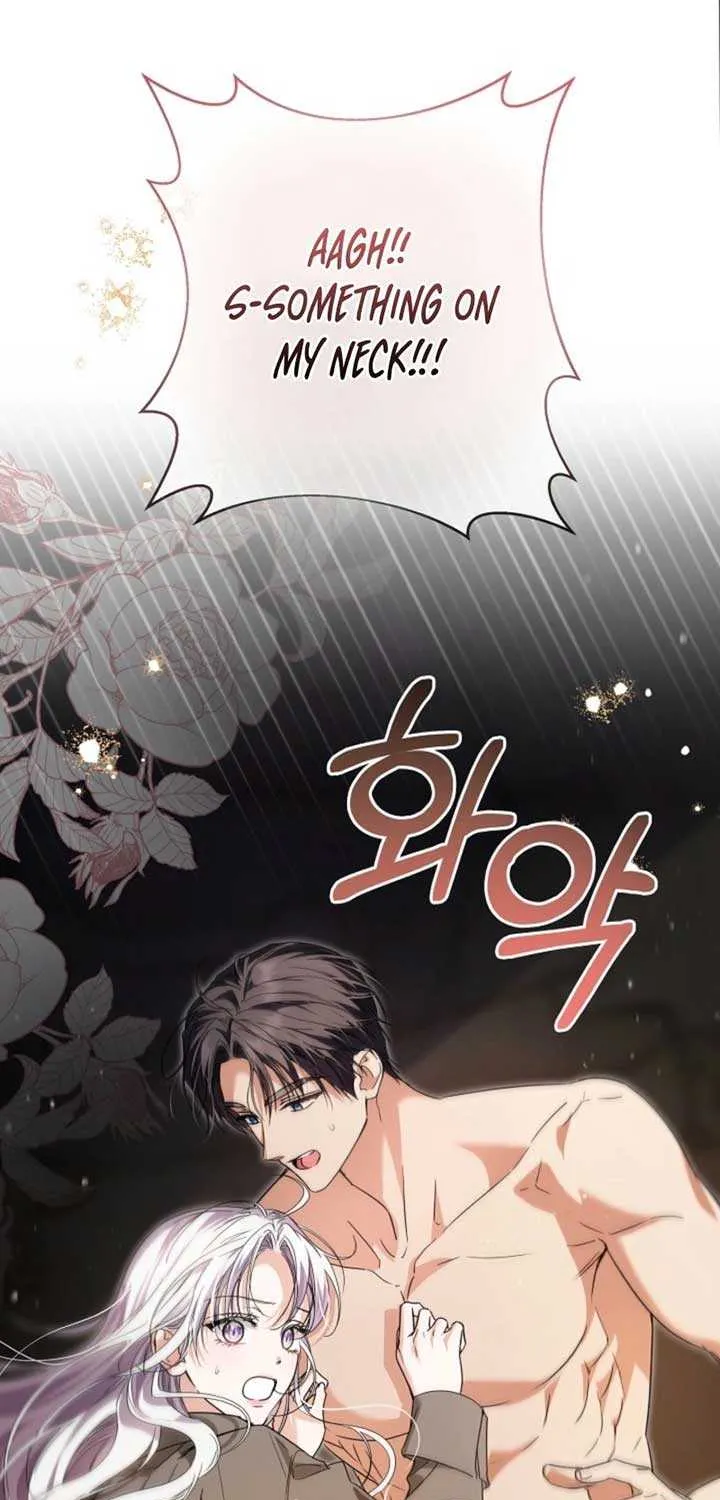 The Closet Fan Princess Chapter 73 page 84 - 