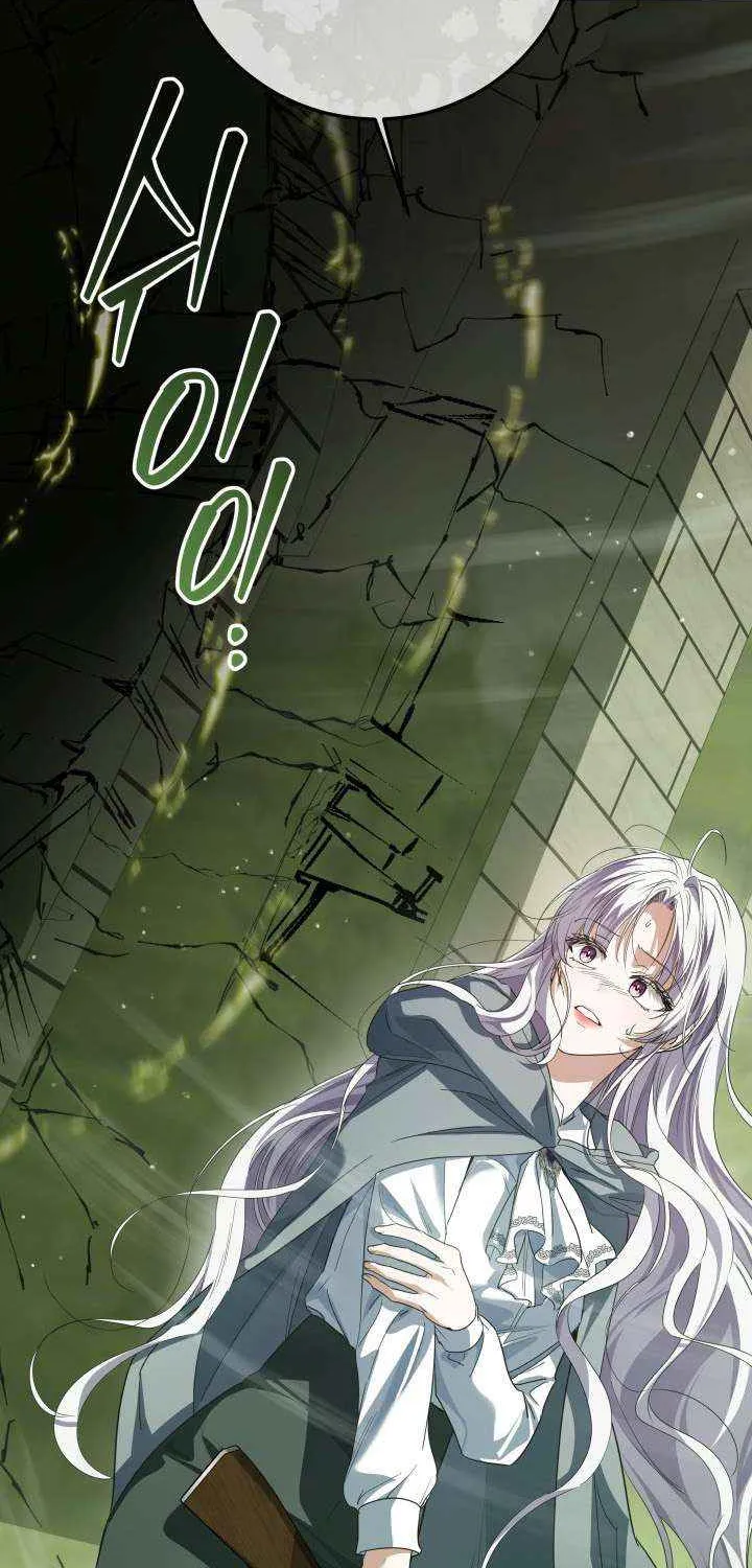The Closet Fan Princess Chapter 79 page 53 - 