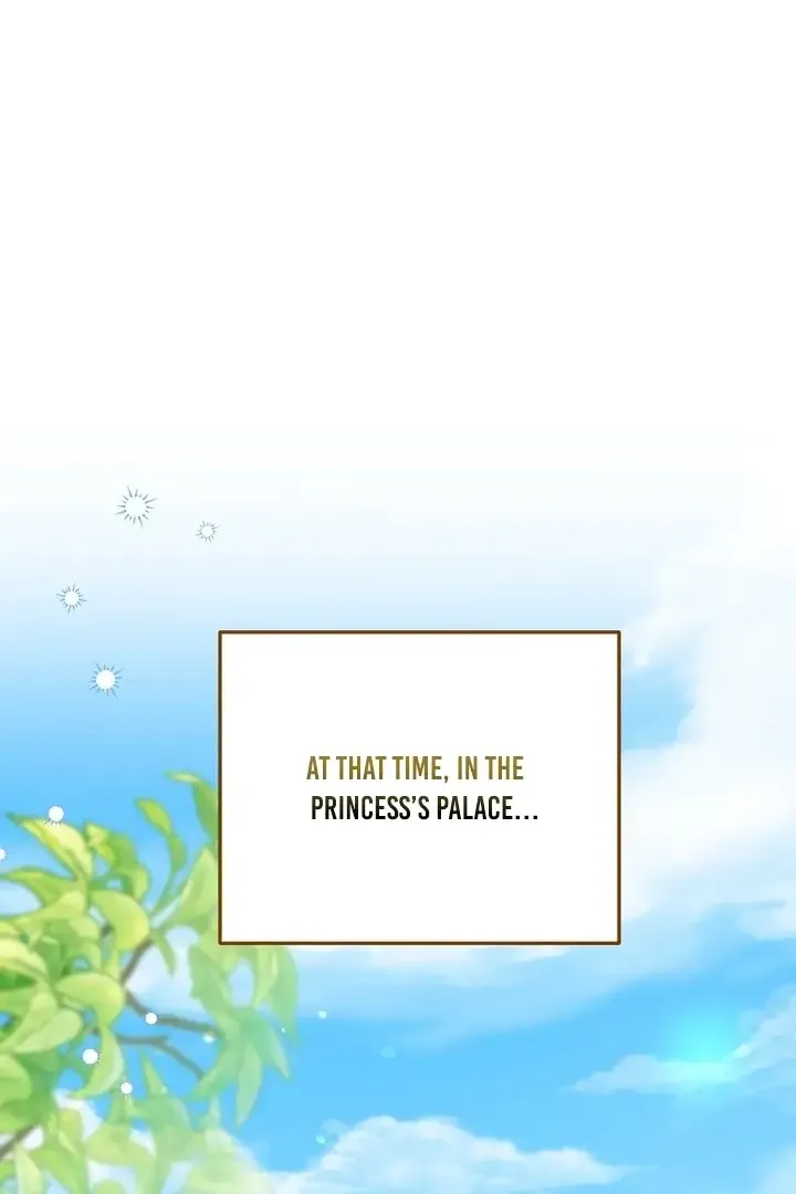 The Closet Fan Princess Chapter 9 page 17 - 