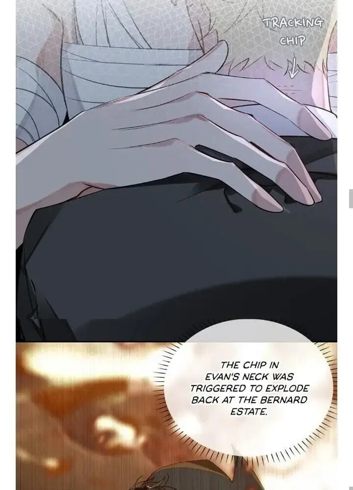 The Code of Silence Chapter 72 page 28 - 