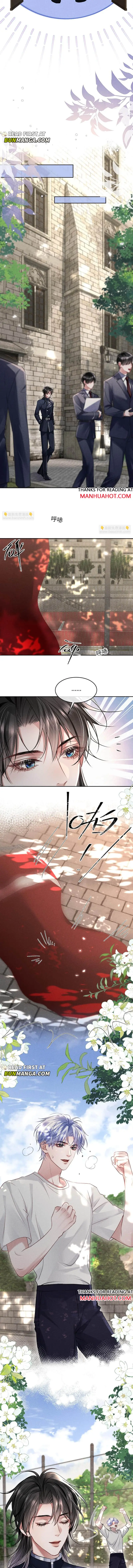 The Cold Commander Cried When He Kissed Chapter 19 page 2 - 