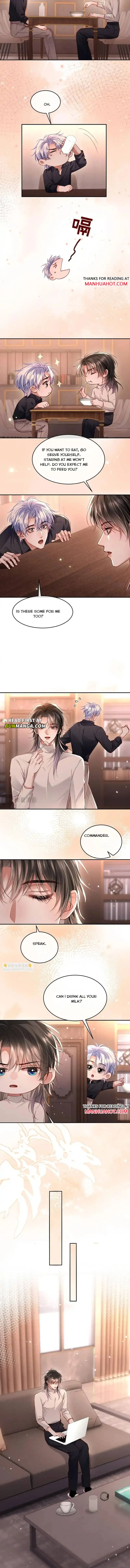 The Cold Commander Cried When He Kissed Chapter 37 page 6 - 