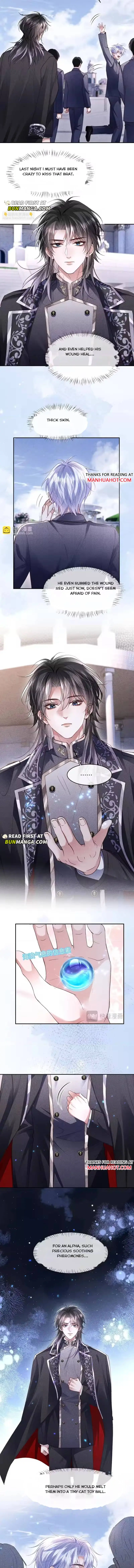 The Cold Commander Cried When He Kissed Chapter 47 page 3 - 