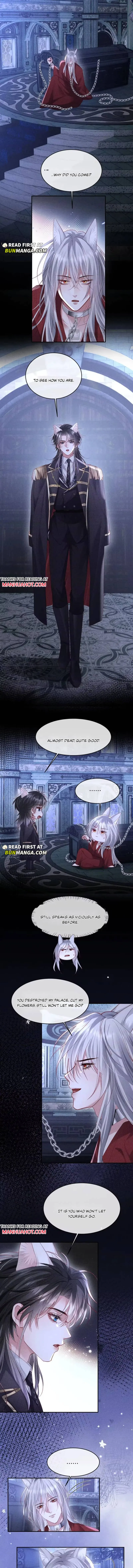 The Cold Commander Cried When He Kissed Chapter 62 page 5 - 