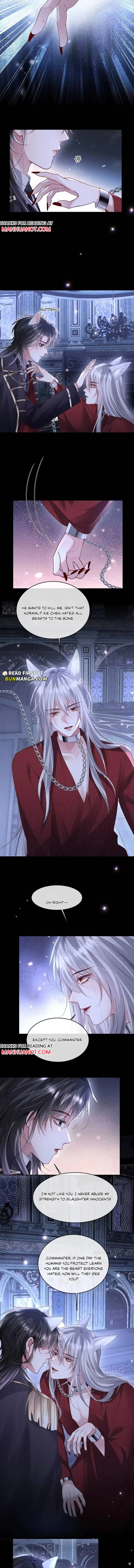 The Cold Commander Cried When He Kissed Chapter 63 page 2 - 