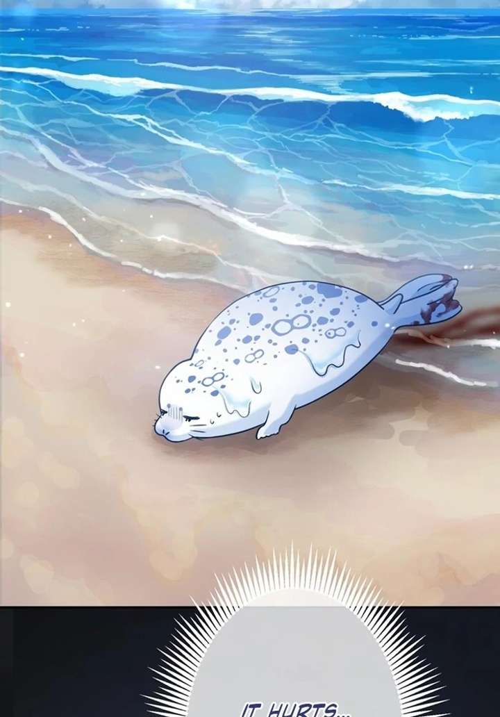 The Coldhearted Duke Is Obsessed With the Seal Princess Chapter 1 page 100 - 