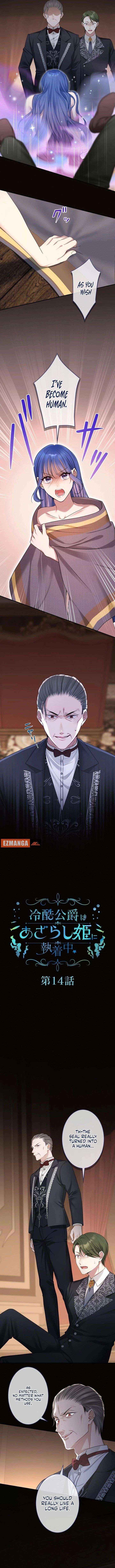 The Coldhearted Duke Is Obsessed With the Seal Princess Chapter 14 page 2 - 