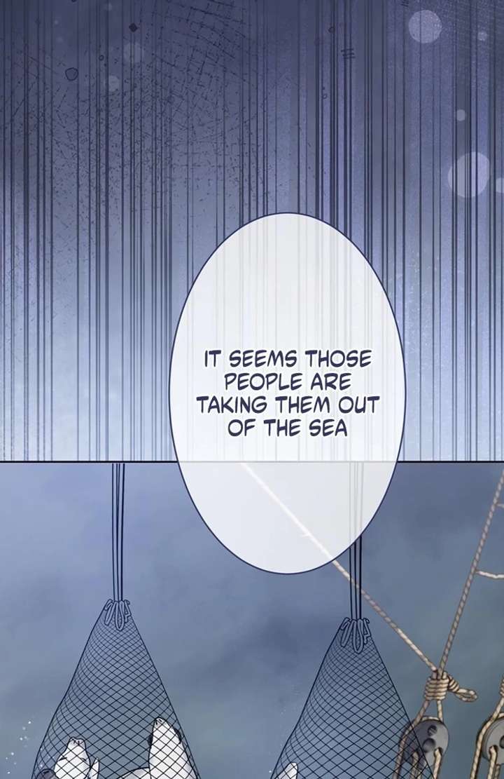 The Coldhearted Duke Is Obsessed With the Seal Princess Chapter 2 page 86 - 