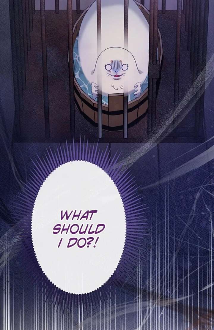 The Coldhearted Duke Is Obsessed With the Seal Princess Chapter 3 page 42 - 