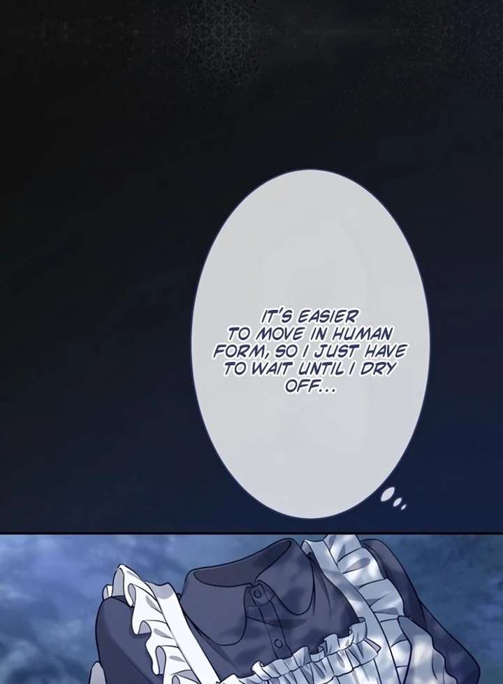 The Coldhearted Duke Is Obsessed With the Seal Princess Chapter 3 page 73 - 