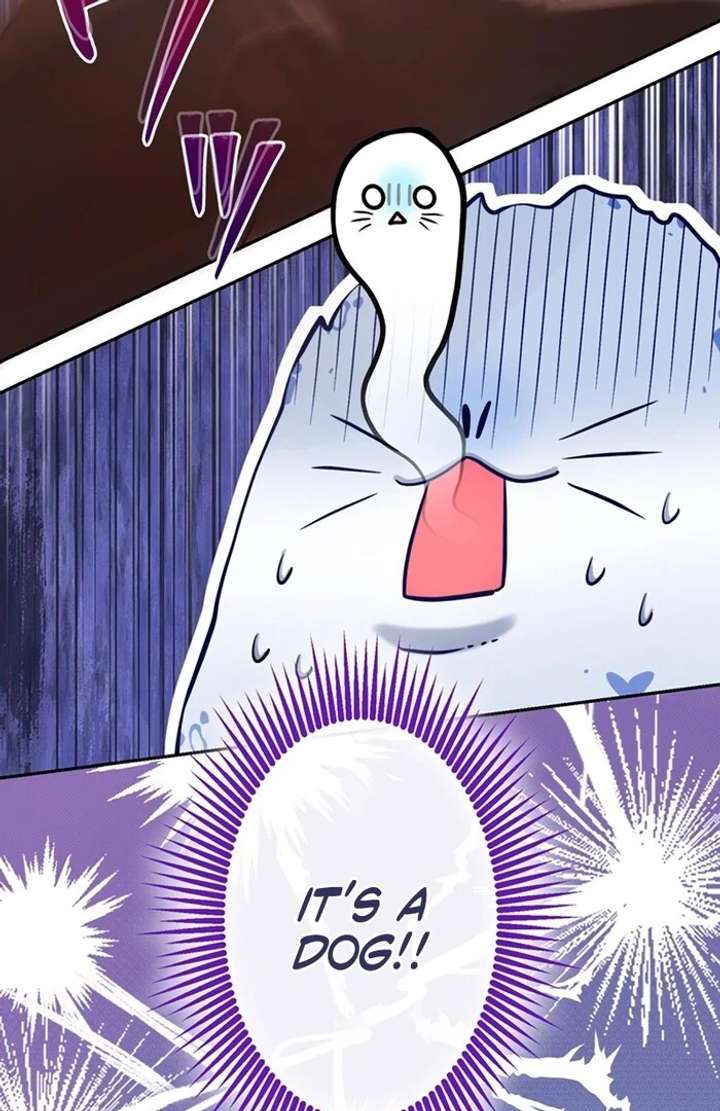 The Coldhearted Duke Is Obsessed With the Seal Princess Chapter 3 page 78 - 