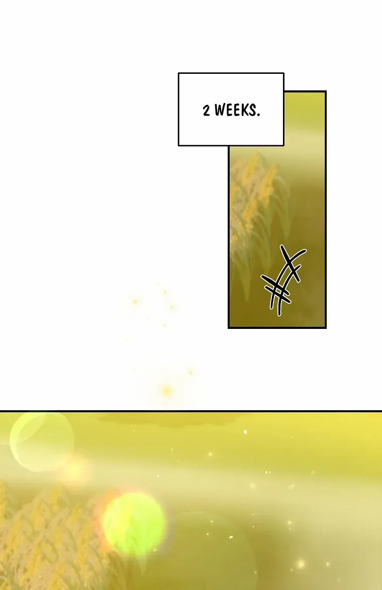 The contract marriage has come to an end Chapter 10 page 78 - 