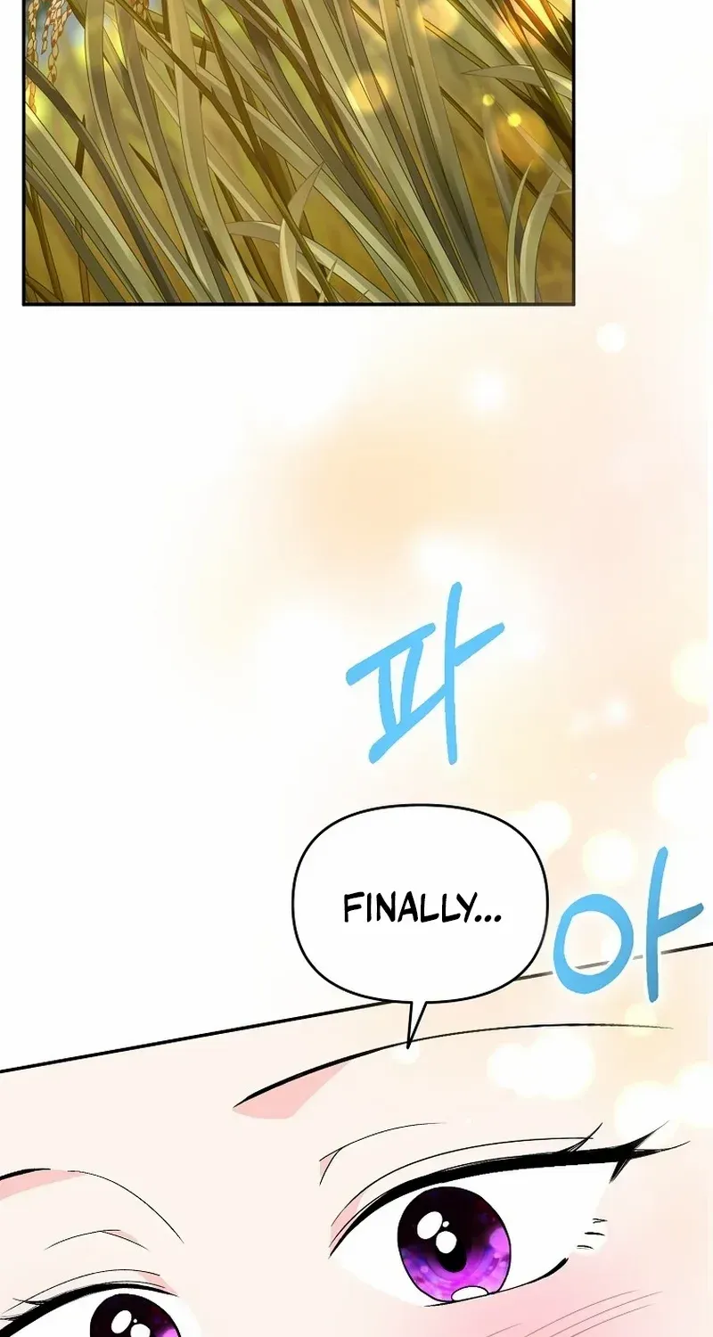 The contract marriage has come to an end Chapter 16 page 3 - 