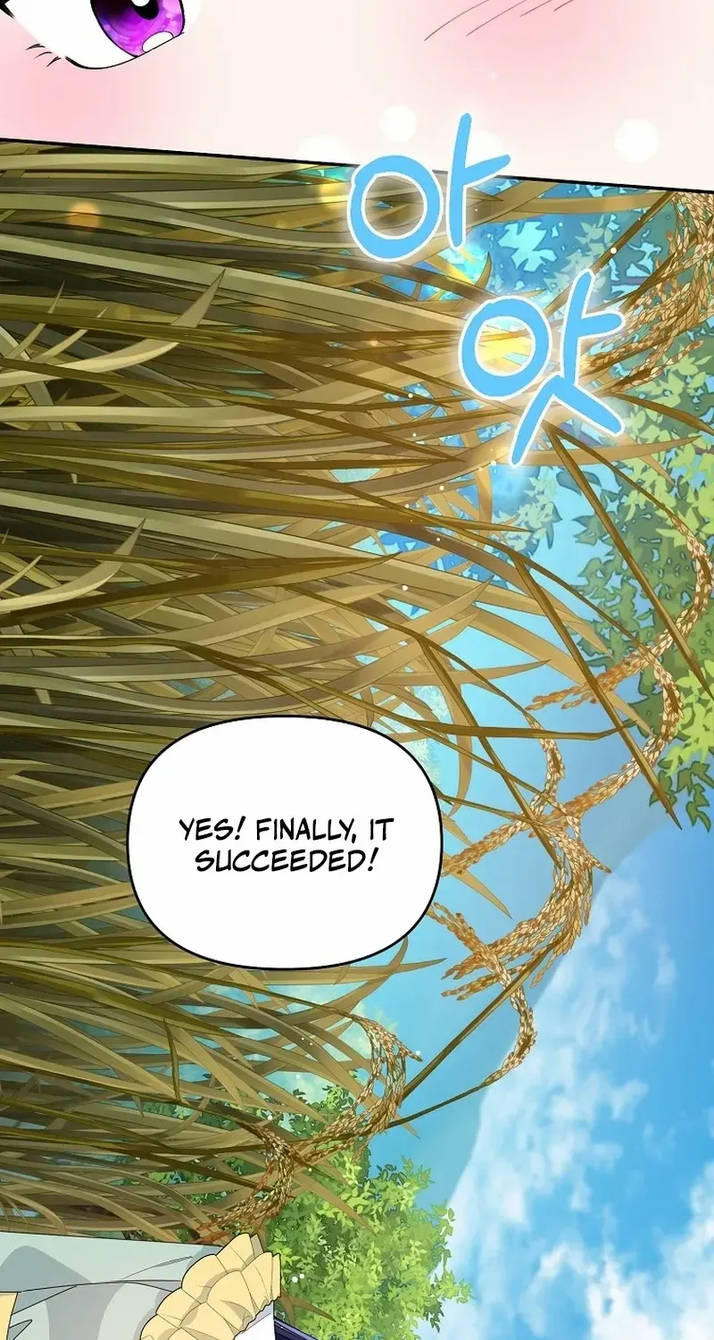 The contract marriage has come to an end Chapter 16 page 4 - 