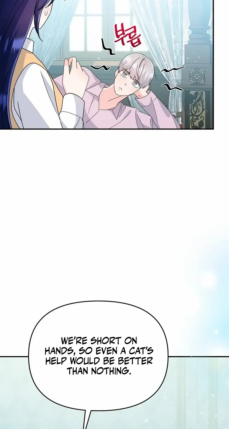 The contract marriage has come to an end Chapter 19 page 5 - 
