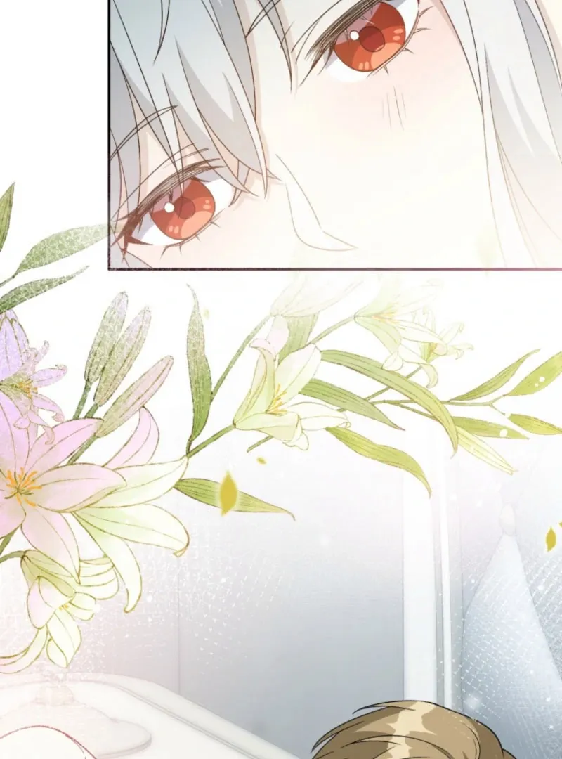 The contract marriage has come to an end Chapter 30 page 61 - 