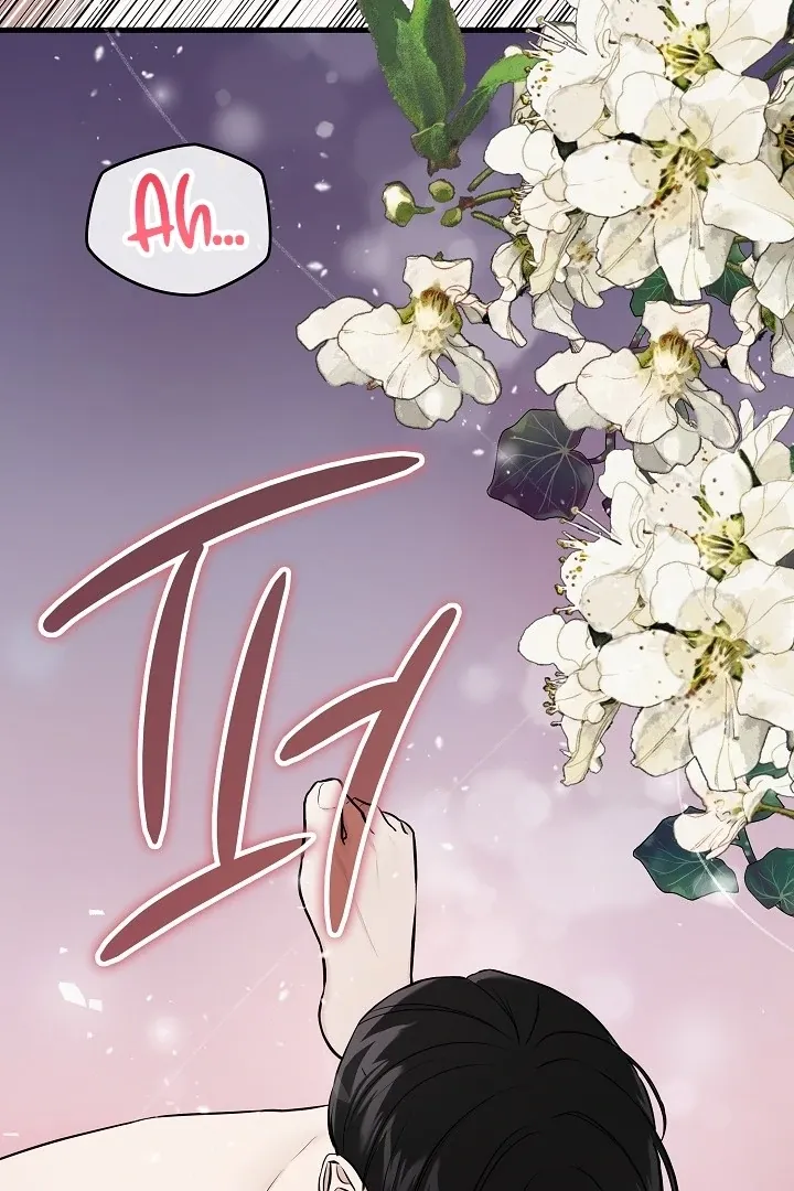 The Contract Marriage Night Chapter 1 page 27 - 
