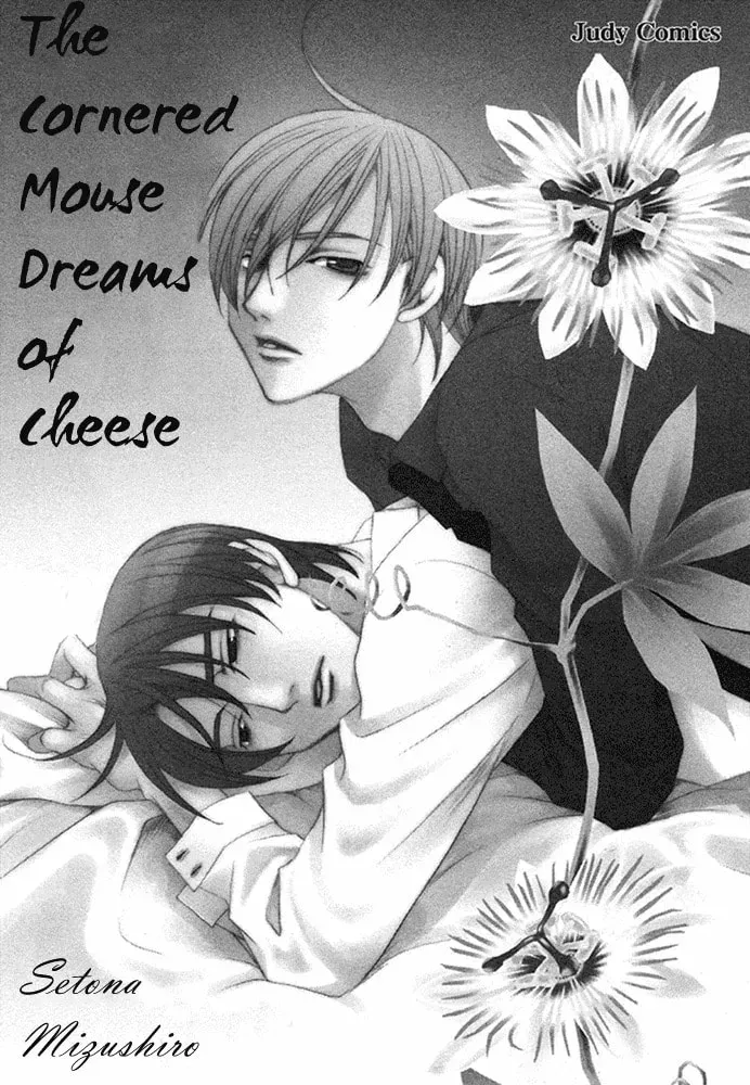 The Cornered Mouse Dreams of Cheese Chapter 1 page 4 - 