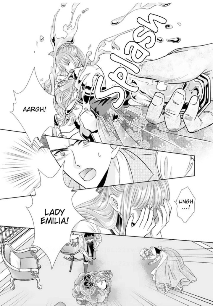 The Count Chose an Unladylike Lady Chapter 17 page 13 - 
