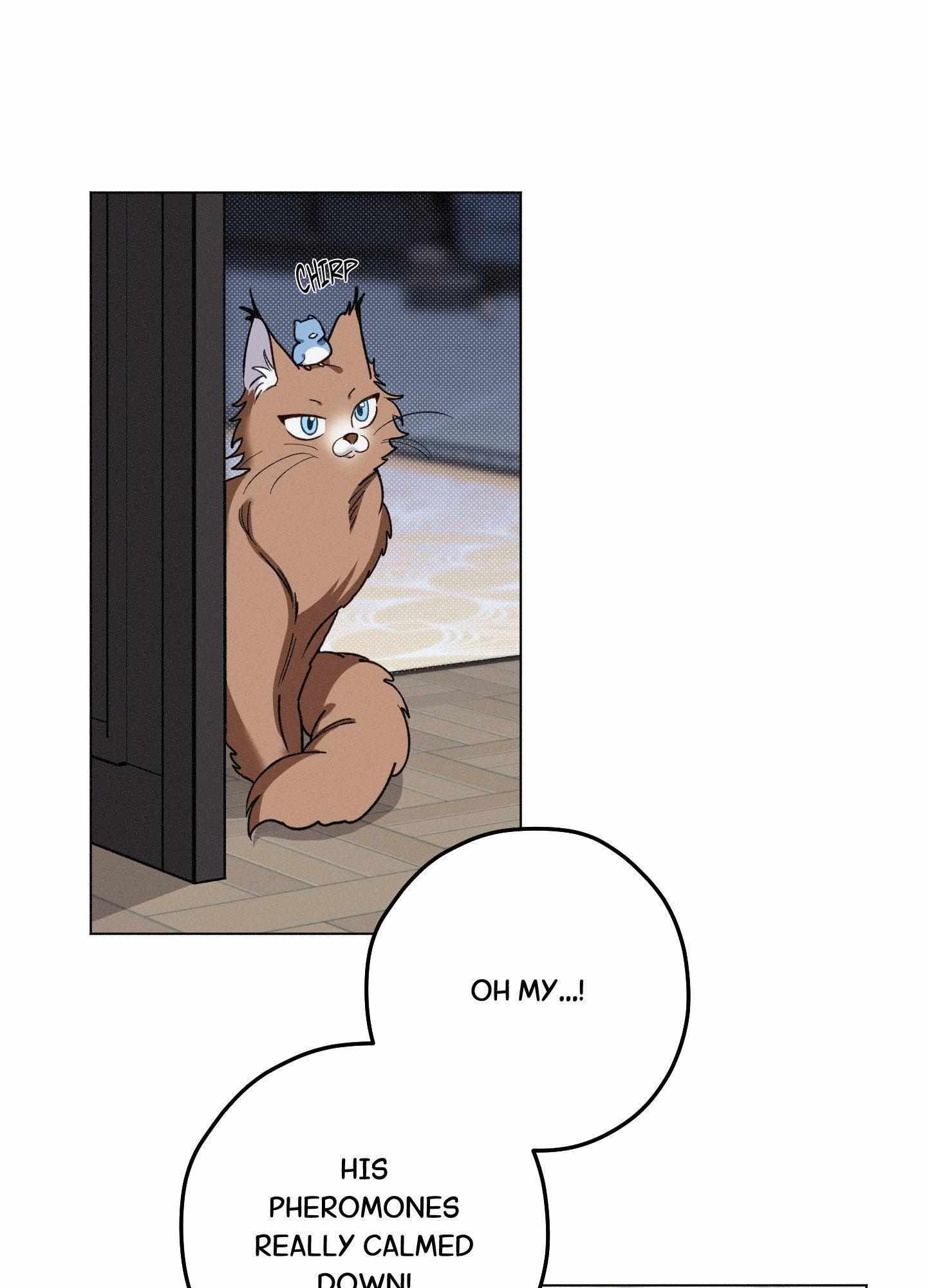 The Count Has Been Reincarnated Chapter 11 page 2 - 