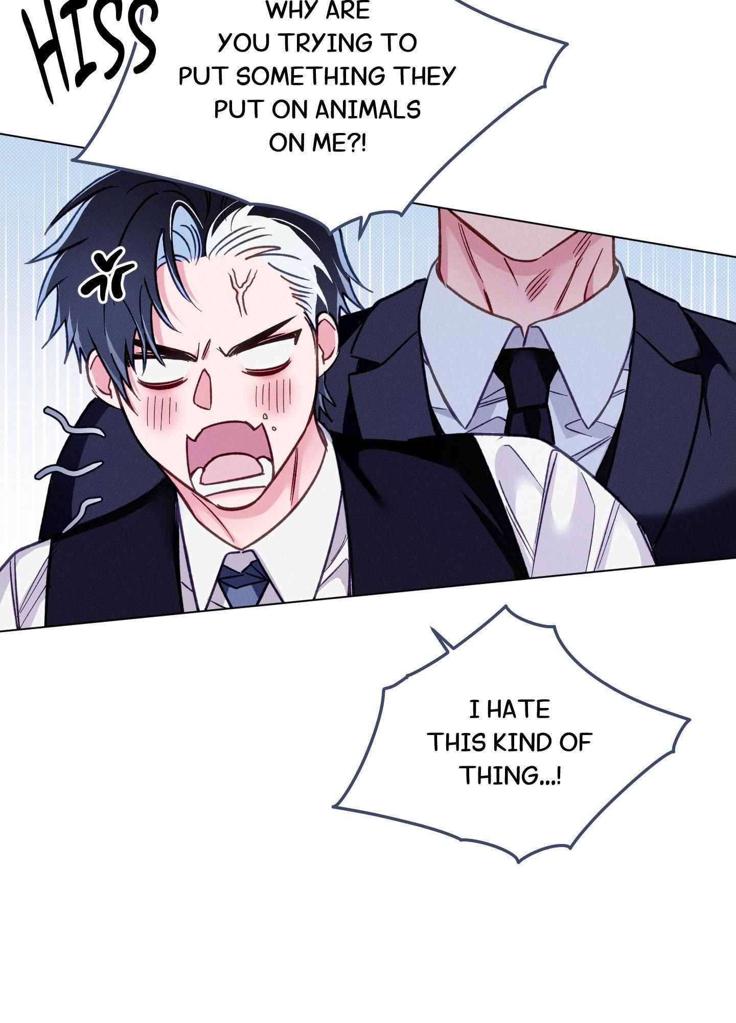The Count Has Been Reincarnated Chapter 12 page 41 - 